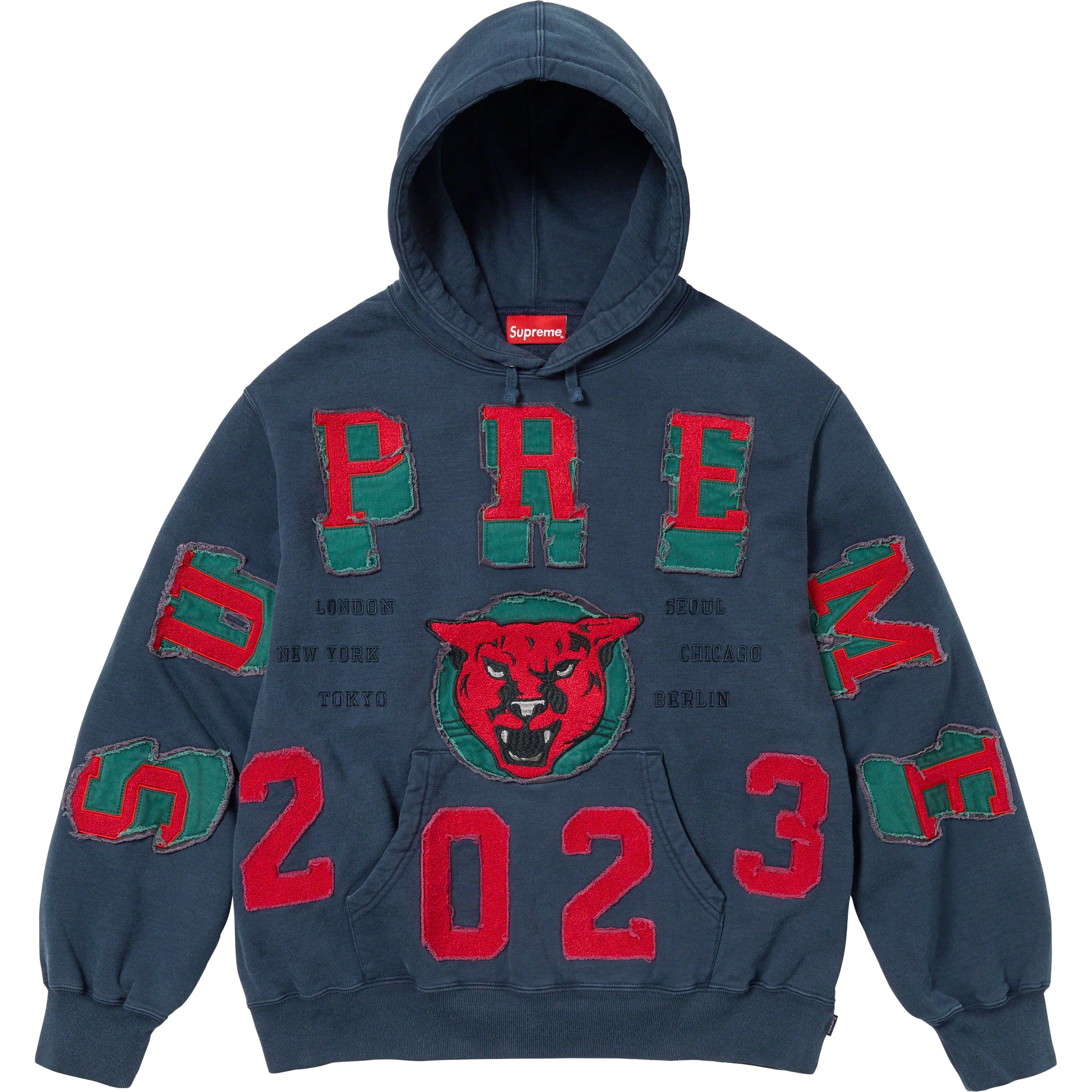 Washed Panther Hooded Sweatshirt view 6